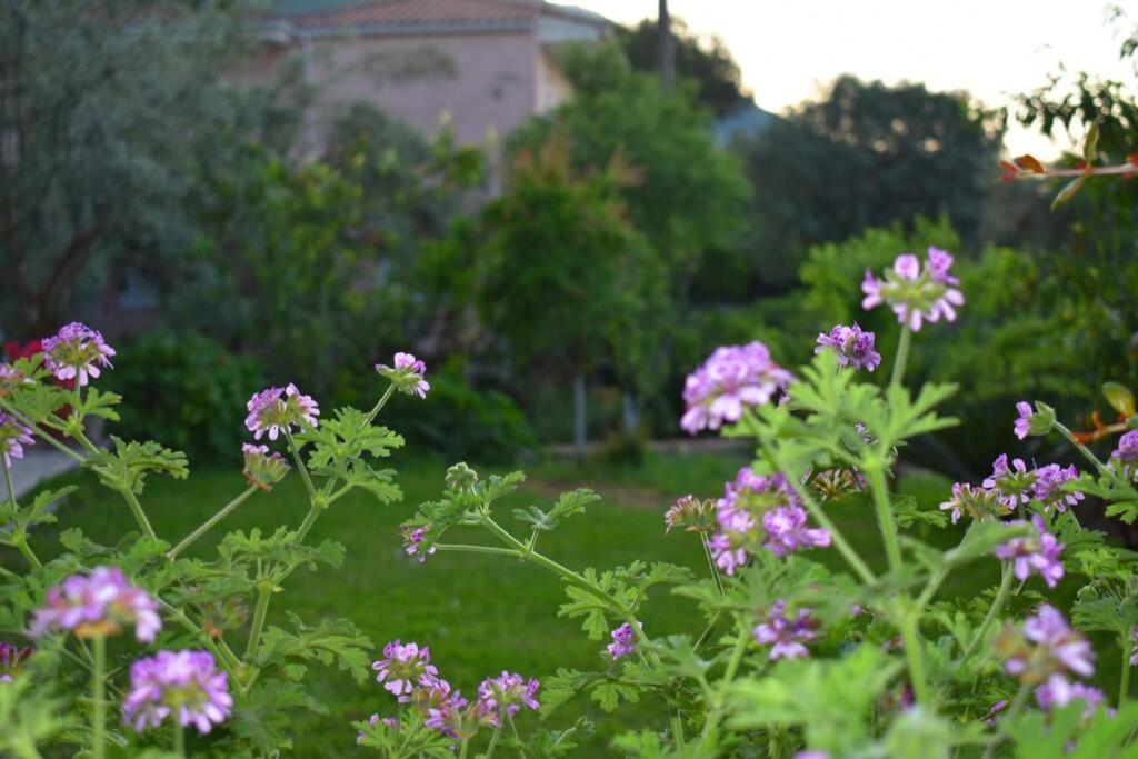 Villa Sunset Lefkas Agios Ioannis  Esterno foto